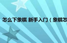 怎么下象棋 新手入门（象棋怎么玩新手入门相关内容简介介绍）