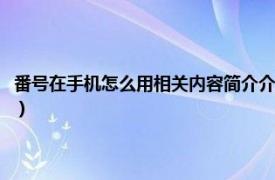 番号在手机怎么用相关内容简介介绍（番号在手机怎么用相关内容简介介绍）