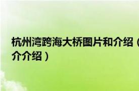 杭州湾跨海大桥图片和介绍（杭州湾跨海大桥有多长相关内容简介介绍）