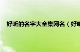 好听的名字大全集网名（好听的名字网名相关内容简介介绍）