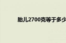 胎儿2700克等于多少斤（700克等于多少斤）