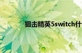 狙击精英5switch什么时候出（狙击精英5）