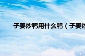 子姜炒鸭用什么鸭（子姜炒鸭的做法相关内容简介介绍）