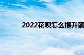 2022花呗怎么提升额度（花呗怎么提升额度）