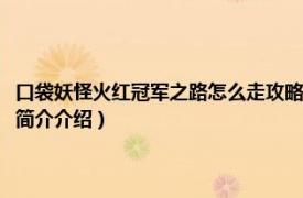 口袋妖怪火红冠军之路怎么走攻略（如何走口袋妖怪火红冠军之路相关内容简介介绍）