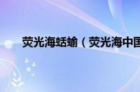 荧光海蛞蝓（荧光海中国哪里有相关内容简介介绍）