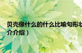 贝壳像什么的什么比喻句形状（贝壳像什么写比喻句相关内容简介介绍）