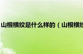 山根横纹是什么样的（山根横纹代表什么意思相关内容简介介绍）