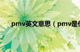 pmv英文意思（pmv是什么意思相关内容简介介绍）