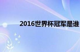 2016世界杯冠军是谁（2018世界杯冠军是谁）