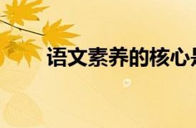 语文素养的核心是什么（语文素养）