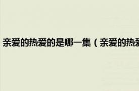 亲爱的热爱的是哪一集（亲爱的热爱的哪一集在一起的相关内容简介介绍）