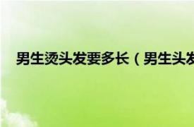 男生烫头发要多长（男生头发多长可以烫相关内容简介介绍）