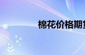 棉花价格期货（棉花价格）