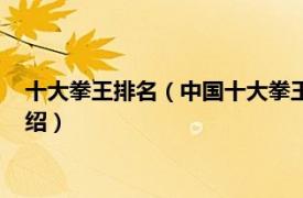 十大拳王排名（中国十大拳王排行榜有哪些拳王相关内容简介介绍）