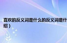 喜欢的反义词是什么的反义词是什么（喜欢的反义词是什么相关内容简介介绍）