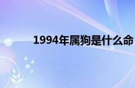 1994年属狗是什么命（1996年属鼠是什么命）