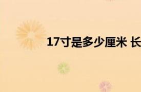 17寸是多少厘米 长宽（17寸是多少厘米）