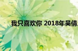 我只喜欢你 2018年吴倩,张雨剑主演的电视剧叫什么