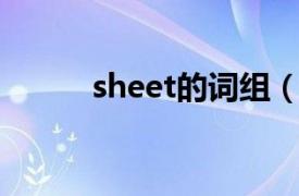 sheet的词组（sheet 英语单词）