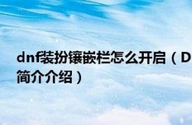 dnf装扮镶嵌栏怎么开启（DNF怎么开启装备的镶嵌栏相关内容简介介绍）