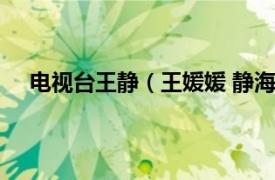 电视台王静（王媛媛 静海新闻中心电台综合部副主任）