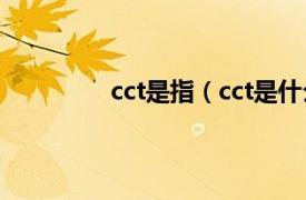 cct是指（cct是什么相关内容简介介绍）