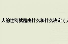 人的性别就是由什么和什么决定（人的性别由什么决定相关内容简介介绍）