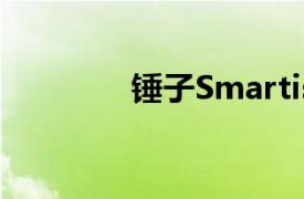 锤子Smartisan  T2全网通