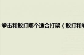 拳击和散打哪个适合打架（散打和拳击哪个打架厉害点相关内容简介介绍）