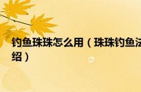 钓鱼珠珠怎么用（珠珠钓鱼法的技巧方法是什么相关内容简介介绍）