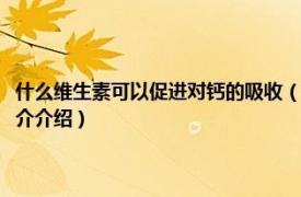 什么维生素可以促进对钙的吸收（哪种维生素可以促进钙的吸收相关内容简介介绍）