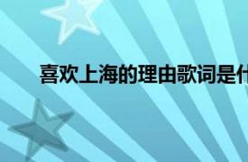 喜欢上海的理由歌词是什么（喜欢上海的理由歌词）