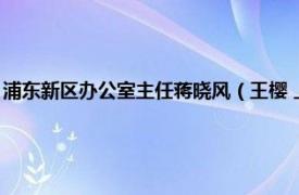 浦东新区办公室主任蒋晓风（王樱 上海市浦东新区人民政府办公室副主任）