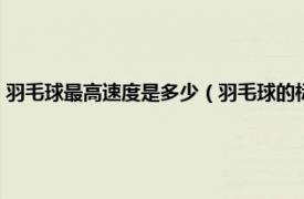 羽毛球最高速度是多少（羽毛球的标准速度应该是多少相关内容简介介绍）