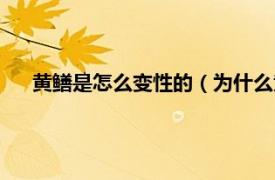 黄鳝是怎么变性的（为什么黄鳝会变性相关内容简介介绍）