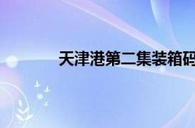 天津港第二集装箱码头有限公司科技信息部