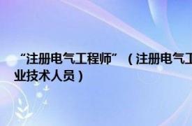 “注册电气工程师”（注册电气工程师 从事电气专业工程及相关业务的专业技术人员）