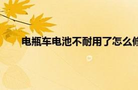 电瓶车电池不耐用了怎么修复（电池不耐用了怎么修复）