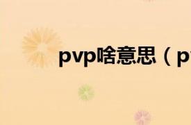 pvp啥意思（pvp是什么意思啊）