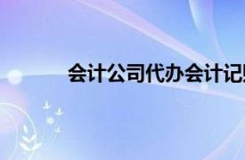 会计公司代办会计记账专业公司（会计公司）