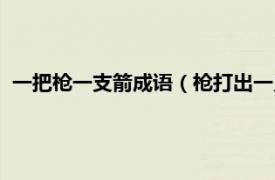 一把枪一支箭成语（枪打出一只箭打一成语相关内容简介介绍）