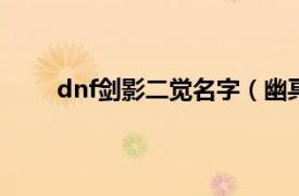 dnf剑影二觉名字（幽冥 DNF影舞者的二觉名称）