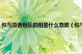 似与游者相乐的相是什么意思（似与游者相乐什么意思相关内容简介介绍）