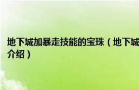 地下城加暴走技能的宝珠（地下城与勇士什么武器加暴走技能相关内容简介介绍）