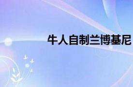 牛人自制兰博基尼（农民自制兰博基尼）