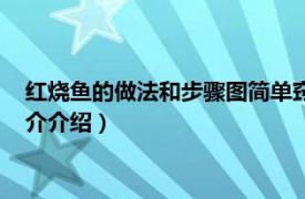 红烧鱼的做法和步骤图简单窍门（红烧鱼做法及步骤相关内容简介介绍）