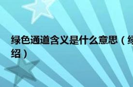 绿色通道含义是什么意思（绿色通道是什么意思相关内容简介介绍）