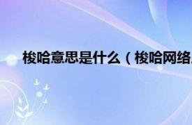 梭哈意思是什么（梭哈网络用语啥意思相关内容简介介绍）