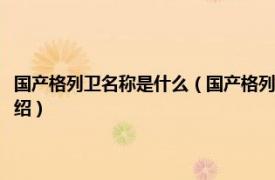 国产格列卫名称是什么（国产格列卫和国外的格列卫的区别相关内容简介介绍）